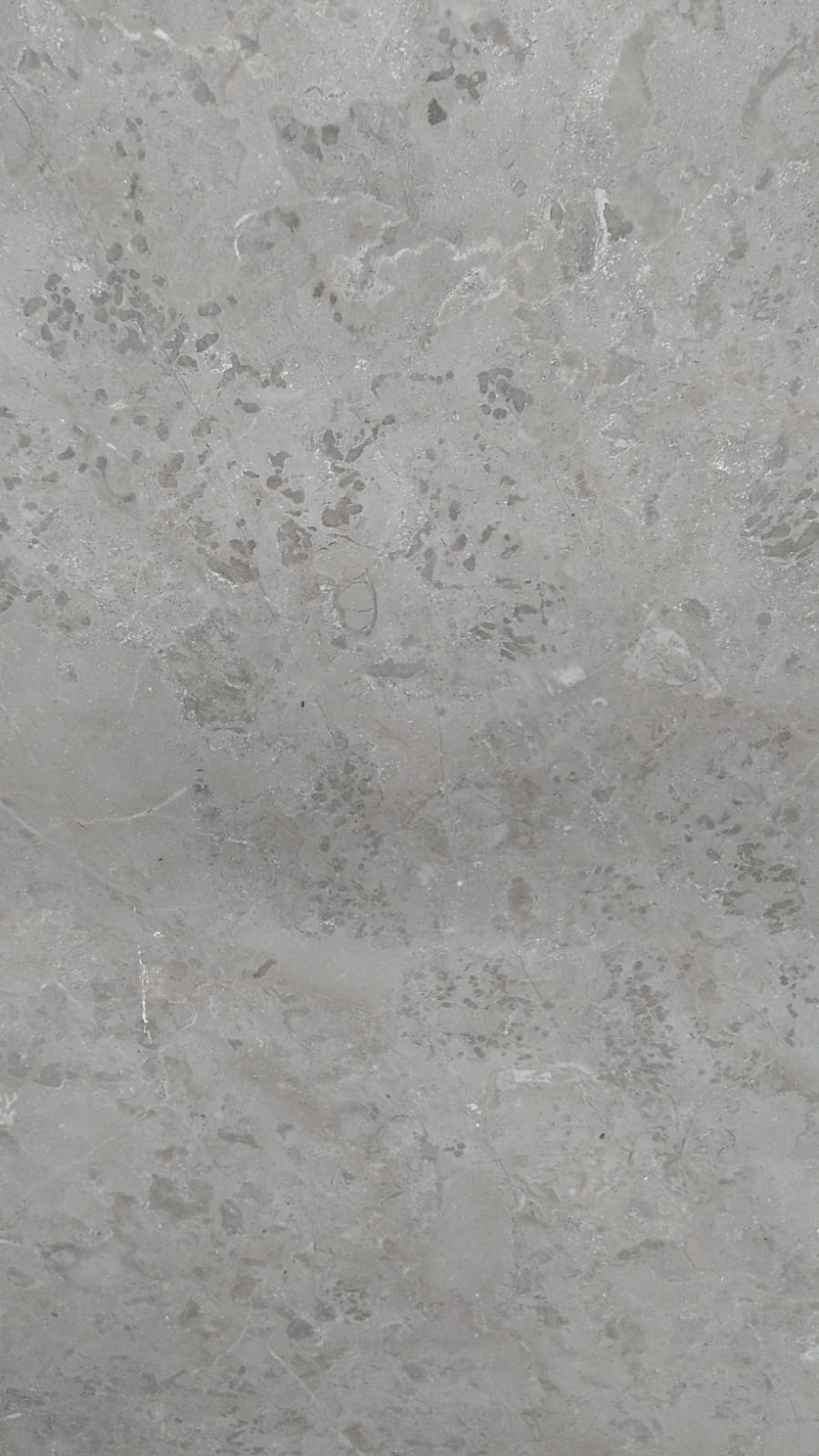 Silver Gray Light